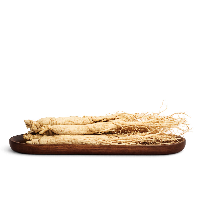 Roter Ginseng